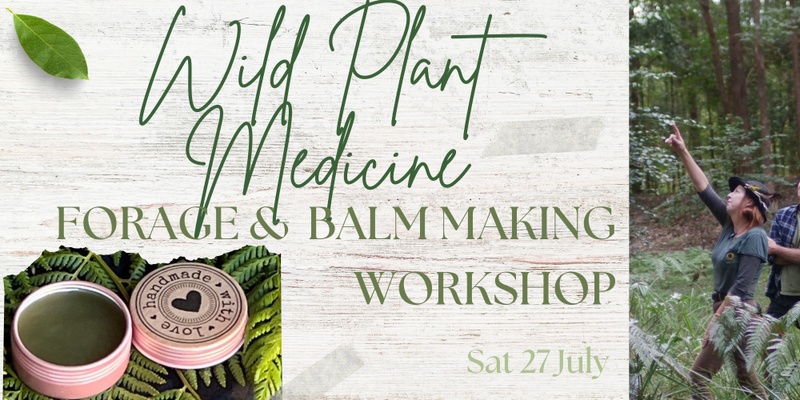 Wild Plant Medicine Forage & Balm Making Workshop