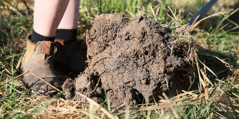 Reboot Your Soil