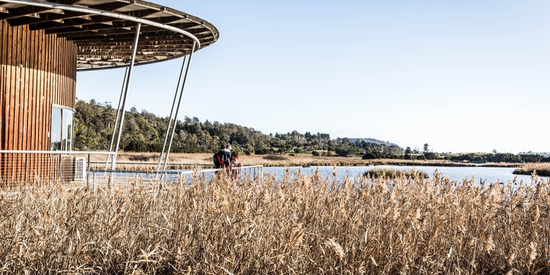 Children's University at the Tamar Island Wetlands