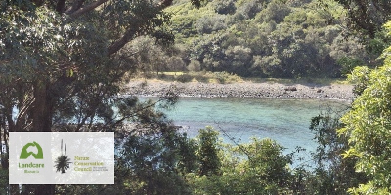 Picnic for Nature - Bombo Headland