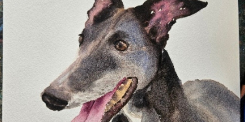 Watercolour for beginners – Pet Portraits