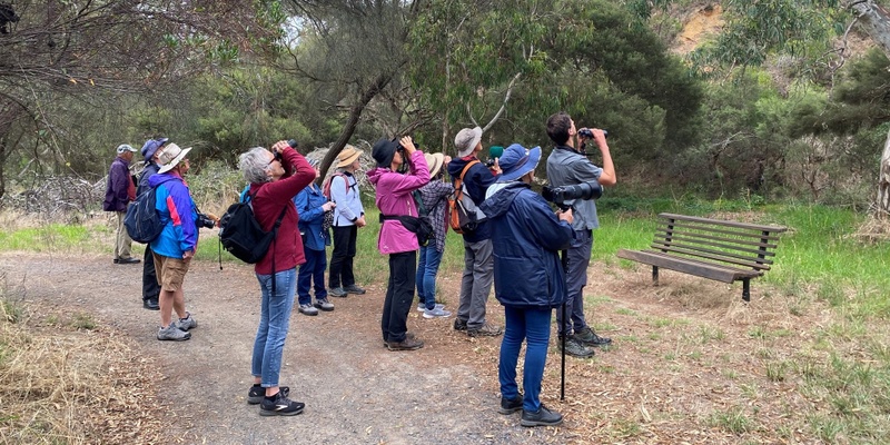  Bird Watching at Cox Scrub 