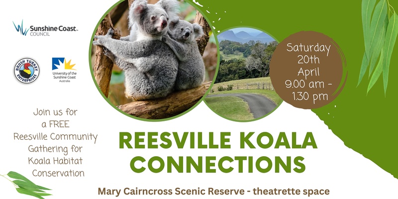 Reesville Koala Connections 