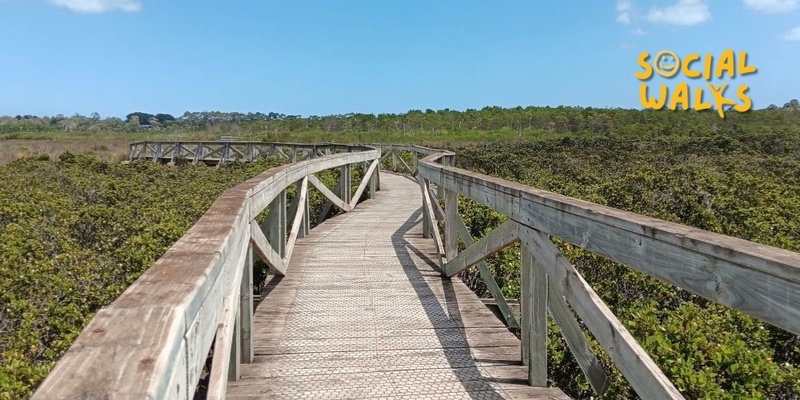 Melbourne Social Walks - Hastings Coastal Walk + Warringine Creek - Easy 10km