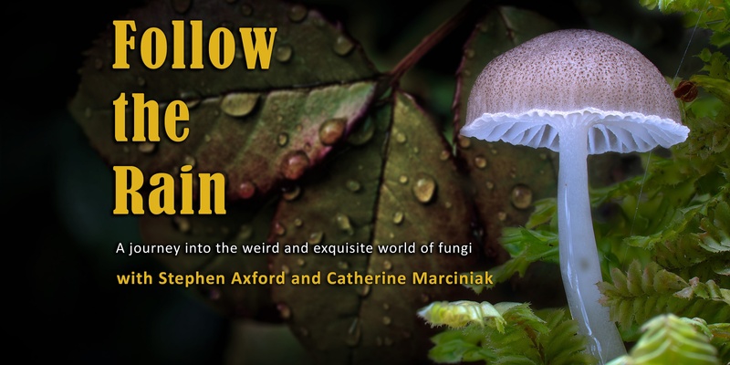 Follow the Rain - Feature Documentary about the Wonder of Fungi - LAUNCESTON