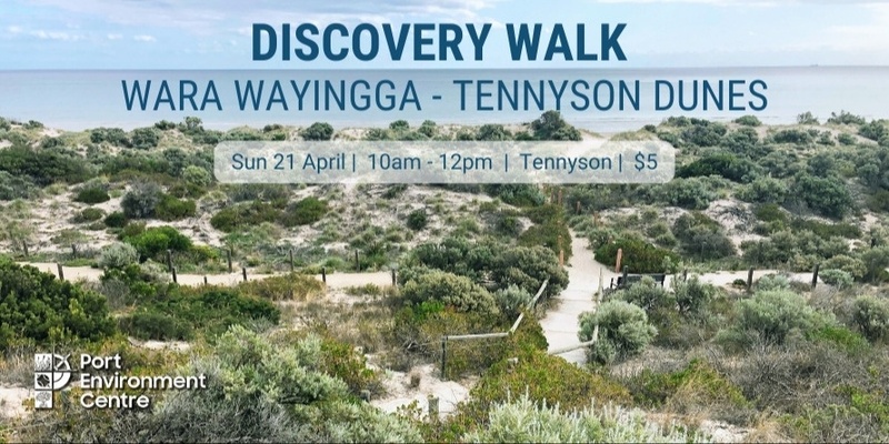 Discovery Walk to Wara Wayingga - Tennyson Dunes