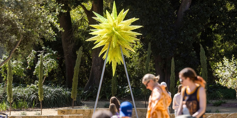 Teacher PD: Chihuly in the Botanic Garden 