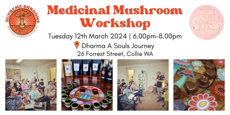 Medicinal Mushrooms Workshop Collie