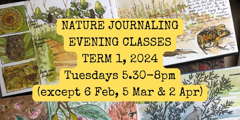Nature Journaling Evening Class