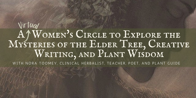 A Virtual Women's Circle to Explore the Mysteries of the Elder Tree, Creative Writing, and Plant Wisdom