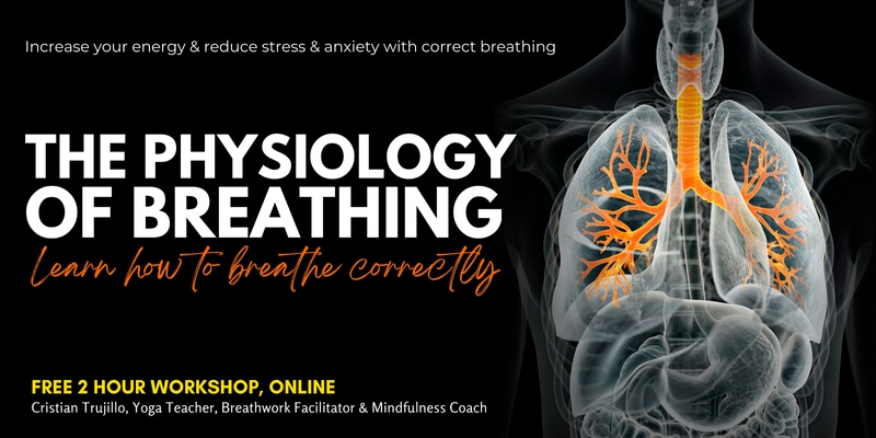 The Physiology of Breathing - Learn How to Breathe Correctly