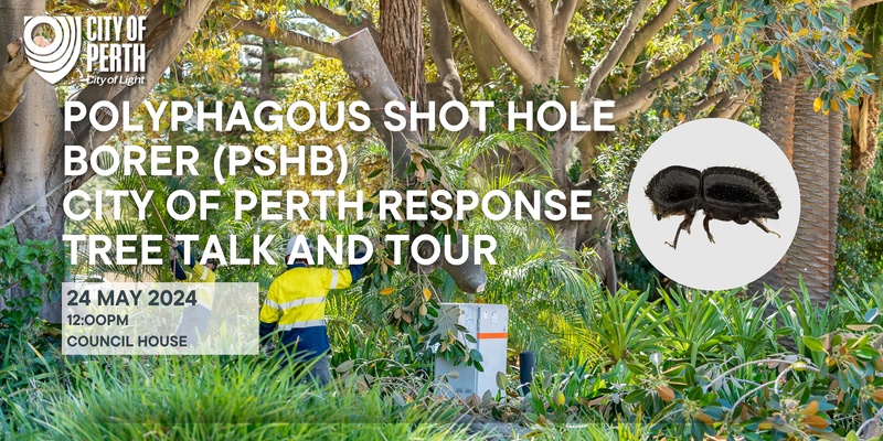 Polyphagous Shot Hole Borer (PSHB) - City of Perth response Tree Talk and Tour