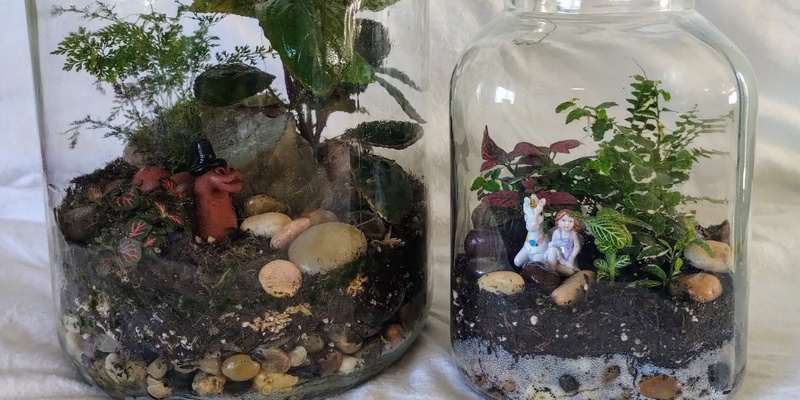 Terrarium Workshop