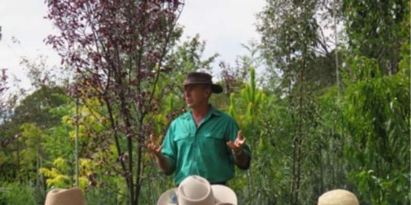 Successful Tree Planting l  New England Garden Festival