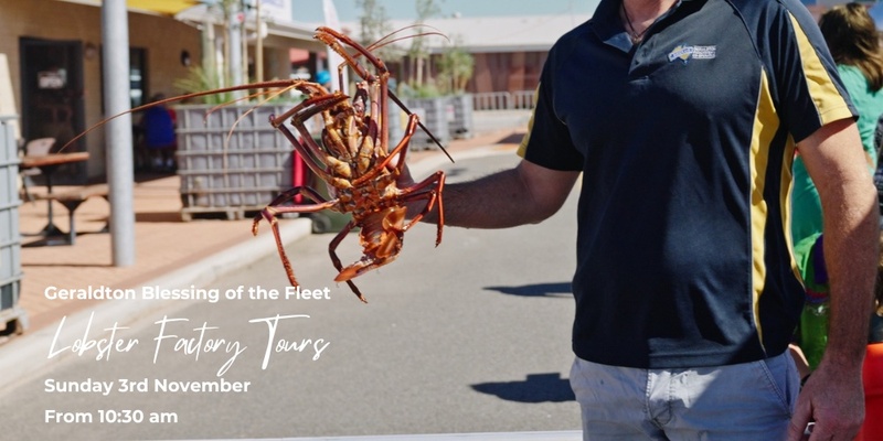 Geraldton Fishermen's Co-op Factory Tours