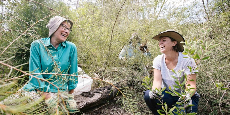  Bushcare for Beginners at Clovelly Bay - 26 April 2024