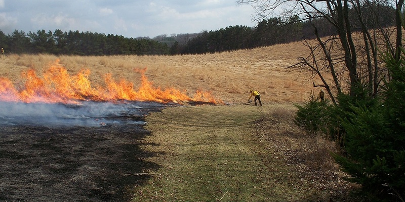 Prescribed Fire Training for Wisconsin Landowners