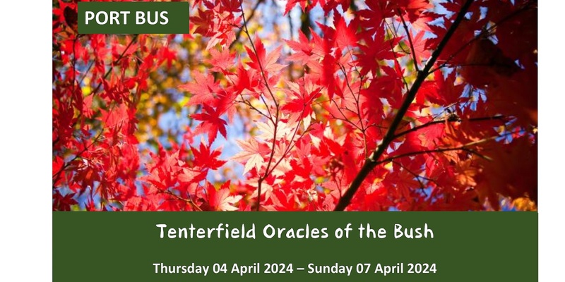 Tenterfield Oracles of the Bush