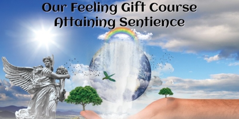 Our Feeling Gift Course: Attaining Sentience (#107 @AWK)