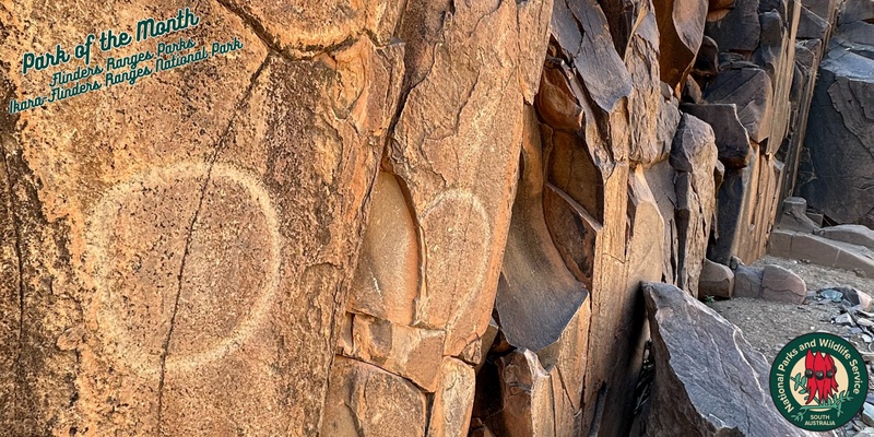 Guided walk with Adnyamathanha cultural guide to Yura Malka - Sacred Canyon