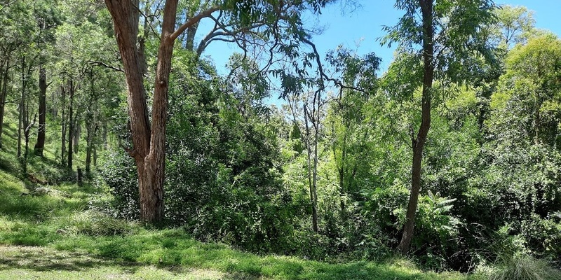 Wollombi Valley new and old landholders workshop