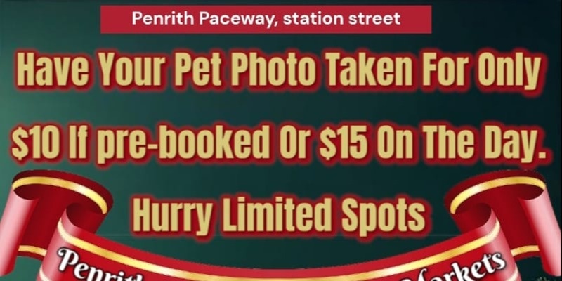 Penrith Christmas Photo Shoot  Saturday