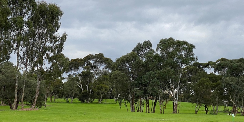 A Stroll through Clarinda Parks: Bald Hill Park and Namatjira Park Grade 2 (Easy)