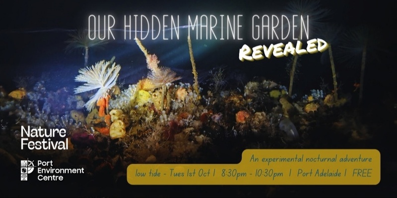 Our Hidden Marine Garden Revealed