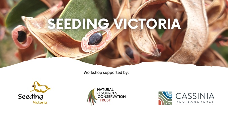 Seed Collection Workshop - Stawell