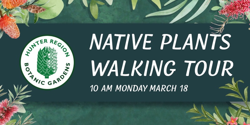 Native Plant Walking Tour & Morning Tea