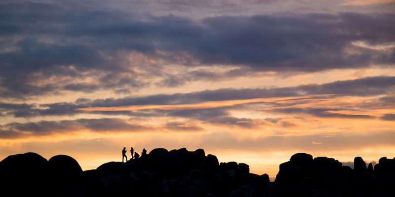 Sand & Story: Capturing Desert Symbolism in Your Writing