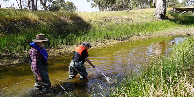 Marne and Saunders Waterbug Bioblitz 2024