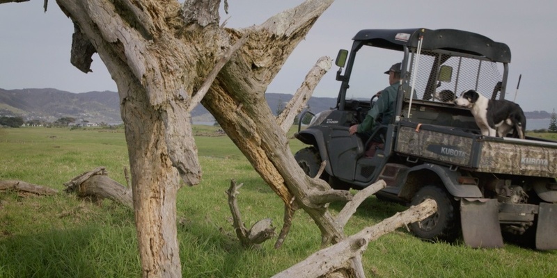 Pathways for Progression & Succession - Dargaville