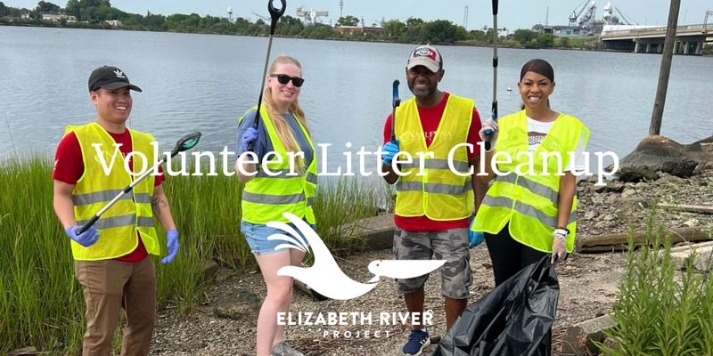 Volunteer Litter Cleanup