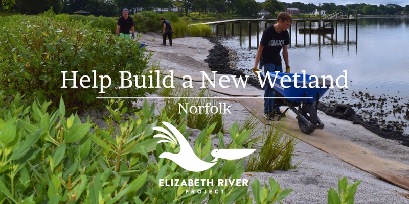 Help Build a New Wetland