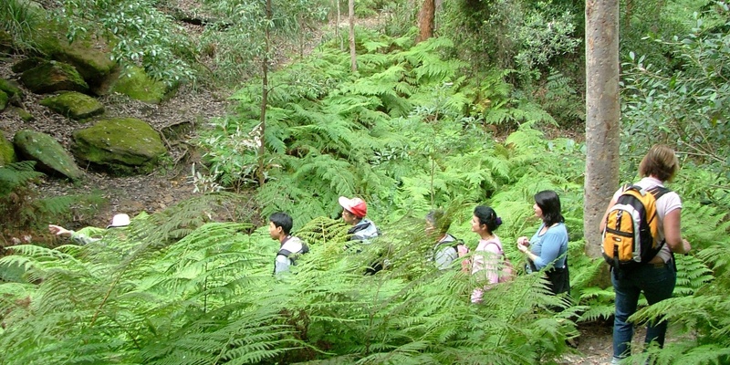 A story of survival - Walk from Bexley North to Tempe in the Wolli Creek Regional Park - 5km