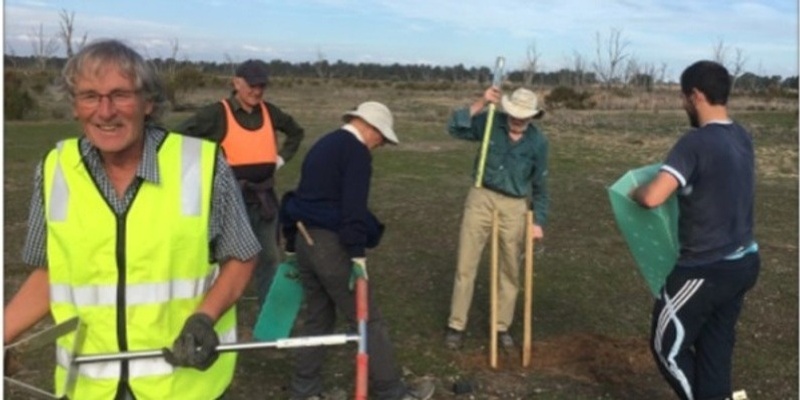 Regent Honeyeater Project Planting 31st August 1st September 