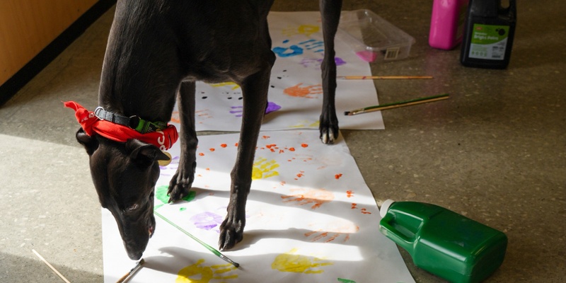 Intergenerational Paint Your Pet