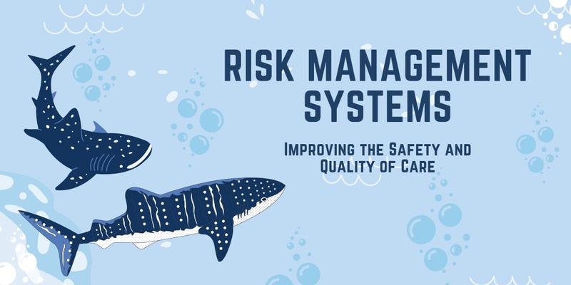 Risk Management Systems