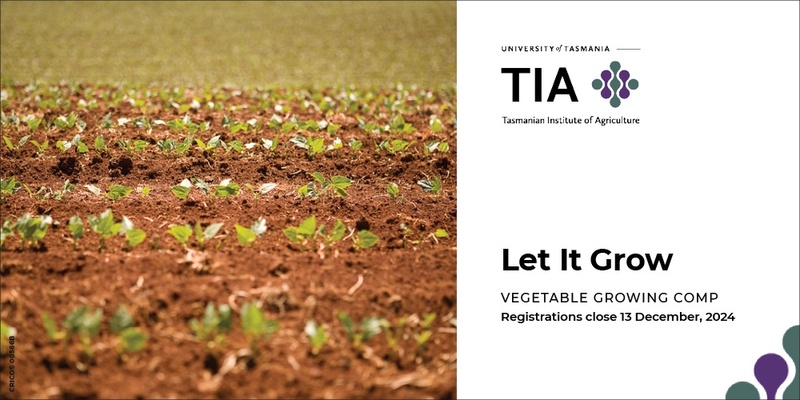 Let it Grow: TIA's veggie growing comp for Agfest 2025 and Soil Your Undies Challenge