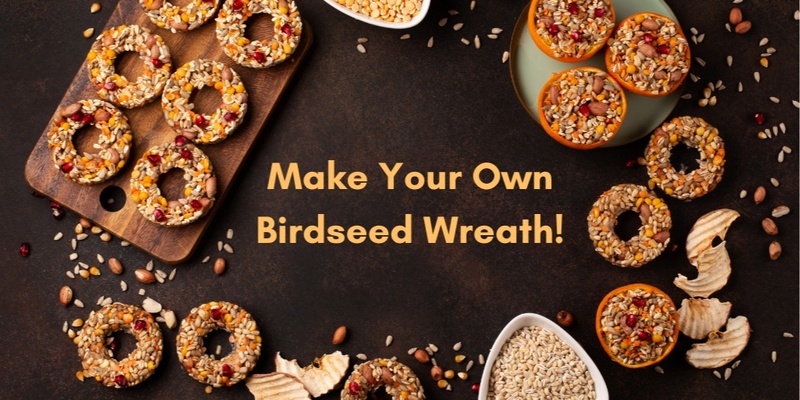 Make a Birdseed Wreath