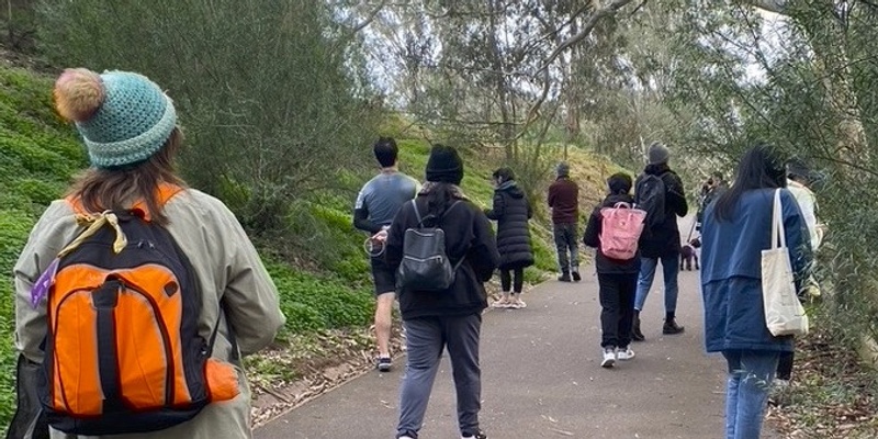 Forest Bathing - Brimbank Park