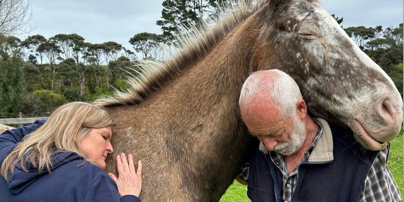 Horses, You & Your Relationship Weekend Retreat * 8-10 November 