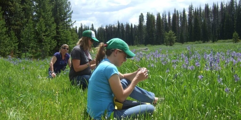 Summer 2025 Master Naturalist Course 