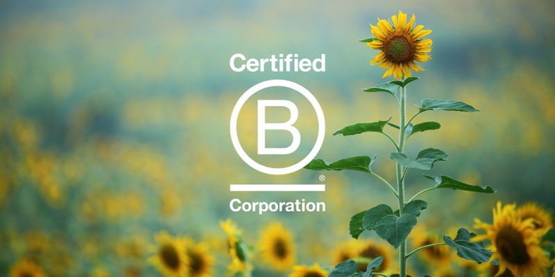 B Corp Basics: Drop-in Session