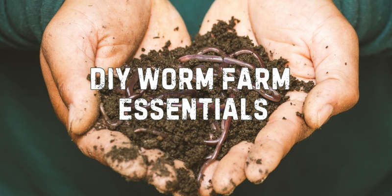 DIY Worm Farm Essentials with Planet Project Co 