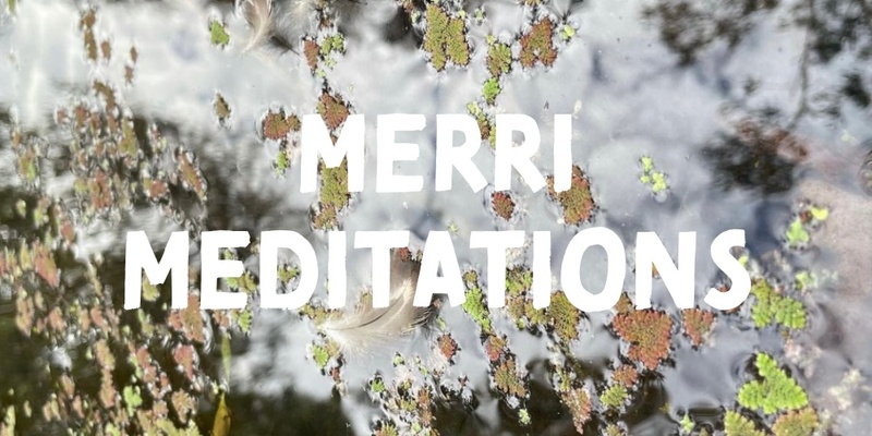 Merri Meditations - Wednesdays