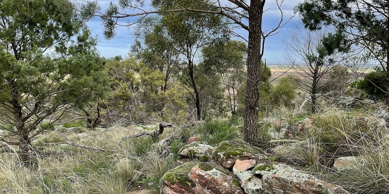 Warrawong Women's Nourishing Retreat 18082024