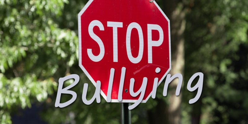 Bullyproofing the learner experience | A Toolkit for Educators | 9 Jul 2024
