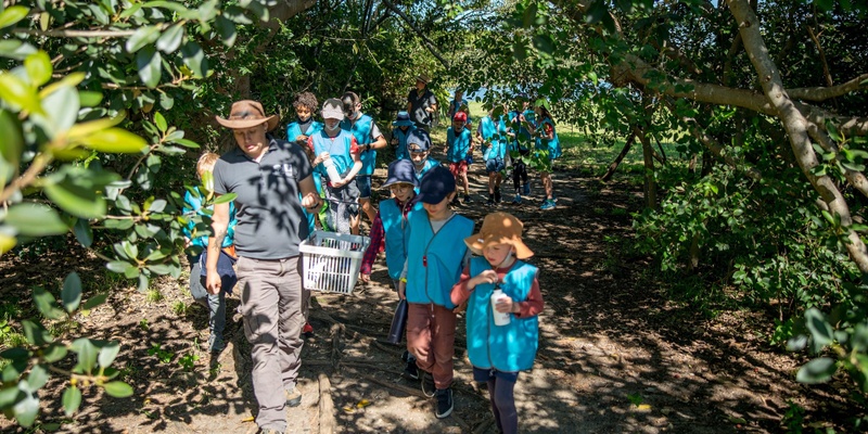 Park Science - Mad Mappers & Treasure Hunters at Callan Park Autumn 2024